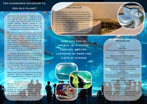 DENBLAAPLANET definitiveA